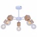 Потолочная люстра TopLight Alisha TL1197X-05AB