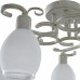 Потолочная люстра TopLight Loretta TL7360X-05WG