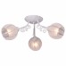 Потолочная люстра TopLight Megan TL3800X-03WG