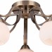 Потолочная люстра TopLight Olivia TL3750X-05AB