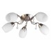 Потолочная люстра TopLight Paula TL3550X-05SN