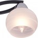 Потолочная люстра TopLight Philomena TL3730X-03BC
