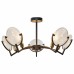 Потолочная люстра TopLight Roxana TL1194X-05BK