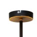 Потолочная люстра TopLight Roxana TL1194X-08BK