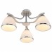 Потолочная люстра TopLight Sheena TL3670X-03RY