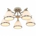 Потолочная люстра TopLight Sheena TL3670X-05AB