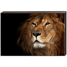 Постер на подрамнике Toplight 60x90х4см TL-D4042