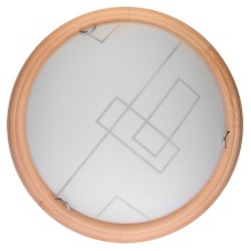 Настенно-потолочный светодиодный светильник Toplight Debora TL9540Y-00PN