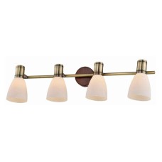 Спот Toplight Sharyl TL3720Y-04BB