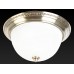 Накладной светильник Toplight Daniela TL5010Y-02AB