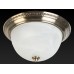 Накладной светильник Toplight Daniela TL5010Y-02AB