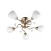 Потолочная люстра Toplight Lorin TL3570X-05AB