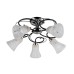 Потолочная люстра Toplight Linda TL2760X-05WC
