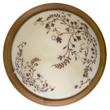 Настенно-потолочный светодиодный светильник Toplight Irene TL9630Y-00OA