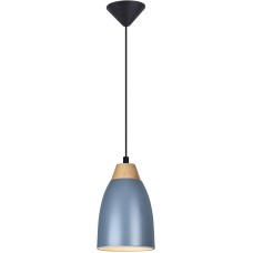 Подвесной светильник Toplight Leah TL0724H-2N