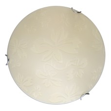 Настенно-потолочный светодиодный светильник Toplight Jane TL9640Y-00WH