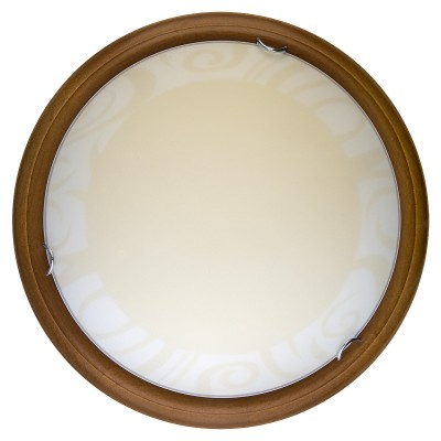 Настенно-потолочный светодиодный светильник Toplight Ginger TL9620Y-00OA