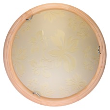 Настенно-потолочный светодиодный светильник Toplight Jane TL9640Y-00PN