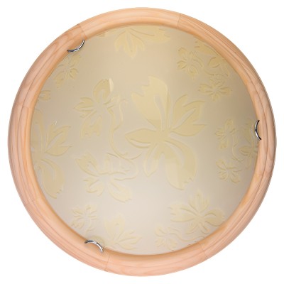 Настенно-потолочный светодиодный светильник Toplight Jane TL9640Y-00PN