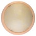 Настенно-потолочный светодиодный светильник Toplight Jane TL9640Y-00PN