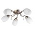 Потолочная люстра Toplight Paula TL3550X-05SN