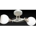 Потолочный светильник Toplight Leona TL7390X-02WG