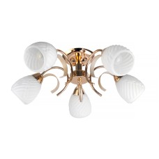 Потолочная люстра Toplight Lenore TL3530X-05FG