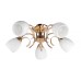 Потолочная люстра Toplight Lenore TL3530X-05FG