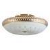Накладной светильник Toplight Loreen TL1492Y-05GC