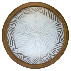 Настенно-потолочный светодиодный светильник Toplight Agatha TL9260Y-00OA