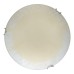 Настенно-потолочный светодиодный светильник Toplight Ginger TL9621Y-00WH