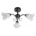 Потолочная люстра Toplight Magdalene TL3490X-03BC