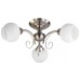 Потолочная люстра Toplight Dana TL3560X-03SN