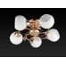 Потолочная люстра Toplight Maria TL3510X-05FG