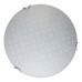 Настенно-потолочный светодиодный светильник Toplight Christina TL9520Y-00WH
