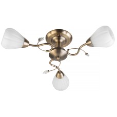 Потолочная люстра Toplight Lorin TL3570X-03AB