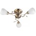Потолочная люстра Toplight Lorin TL3570X-03AB