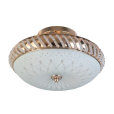 Накладной светильник Toplight Loreen TL1490Y-03GC
