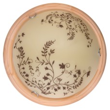 Настенно-потолочный светодиодный светильник Toplight Irene TL9630Y-00PN