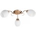 Потолочная люстра Toplight Kristin TL3520X-03FG