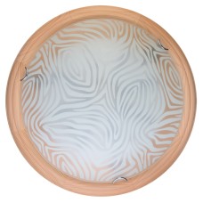 Настенно-потолочный светодиодный светильник Toplight Agatha TL9260Y-00PN