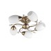 Потолочная люстра Toplight Alana TL3580X-05AB