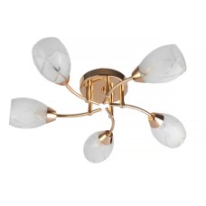 Потолочная люстра Toplight Lucy TL7120X-05FG