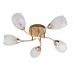 Потолочная люстра Toplight Lucy TL7120X-05FG
