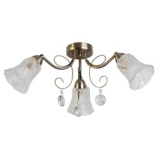 Потолочная люстра Toplight Charla TL7100X-03AB