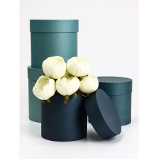 Набор круглых коробок 4 в 1 «Барракуда» 20×20 х - 15×15×15 см