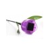 Светильник на солнечных батареях (UL-00004278) Uniel Promo USL-C-453/PT305 Purple Tulip