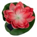 Растение Uniel WATERLILY UL-00011599