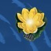 Растение Uniel WATERLILY UL-00011600