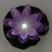 Растение Uniel WATERLILY UL-00011601